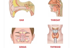 WhatsApp-Image-2025-12-22-at-12.21.43